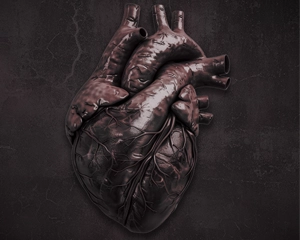 A Vampire's Heart